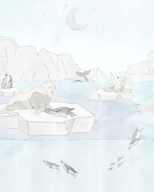 Antarctic Ocean Animals Wallpaper Mural