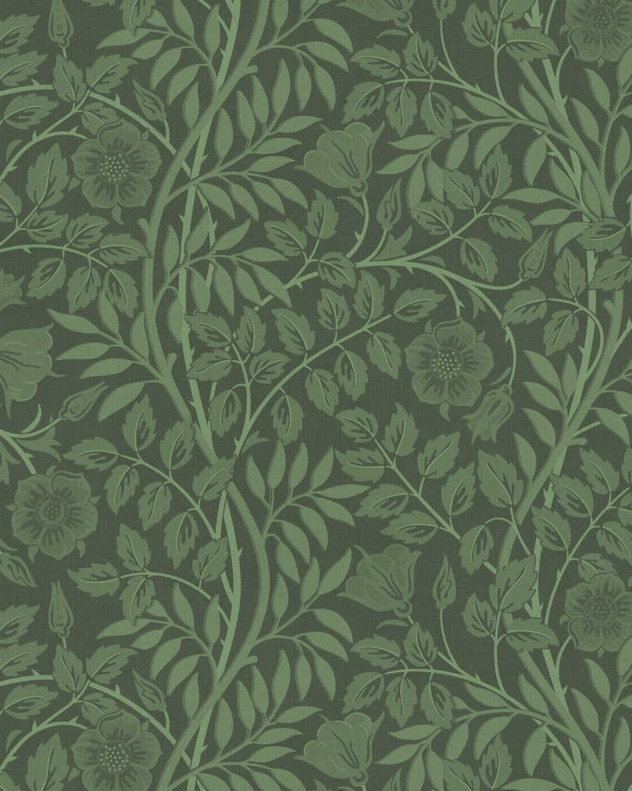 Floral Vines Luxe Dark Green Wallpaper from Olive et Oriel where you can shop wallpaper and artworks online