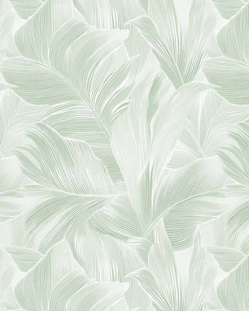 Marbella in Sage Green Commercial Vinyl Wallcovering