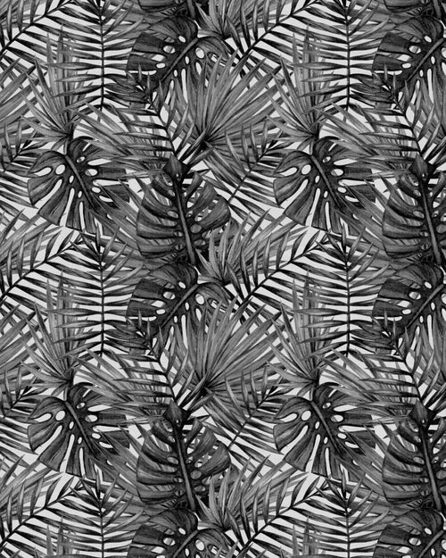 Palm Canopy Black & White Wallpaper