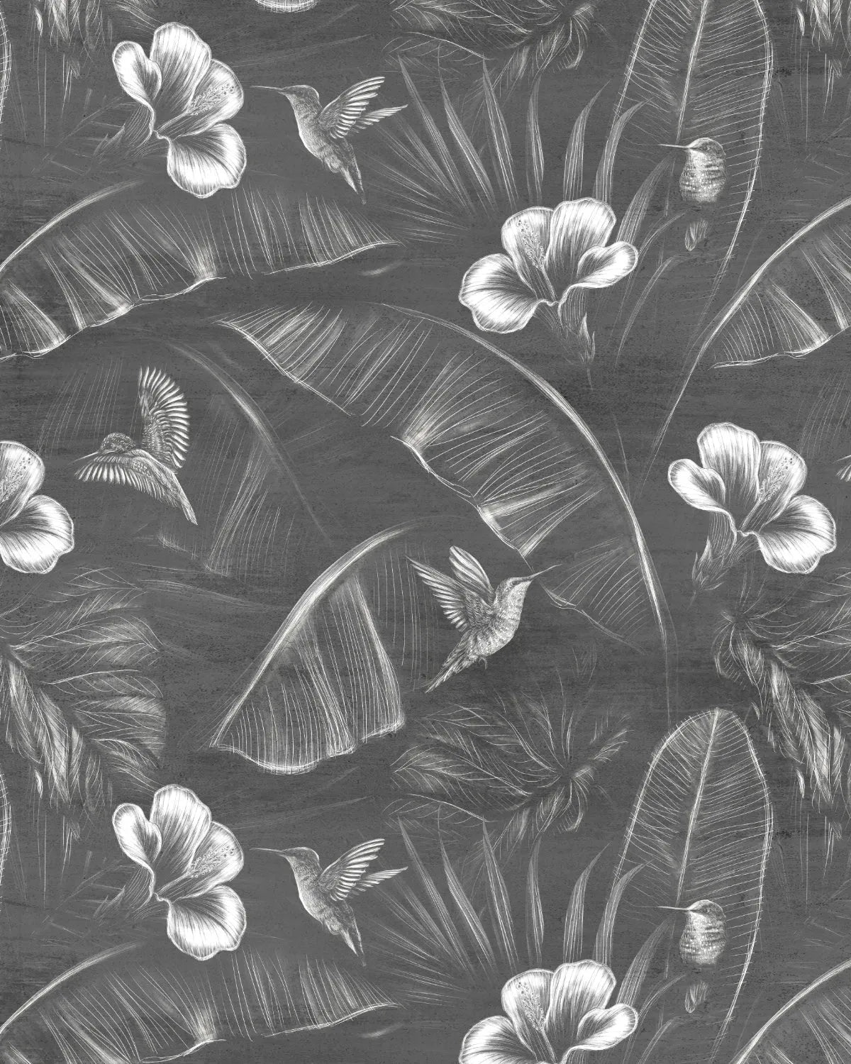 Tropics Hummingbirds Black & White Wallpaper from Olive et Oriel where you can shop wallpaper and artworks online