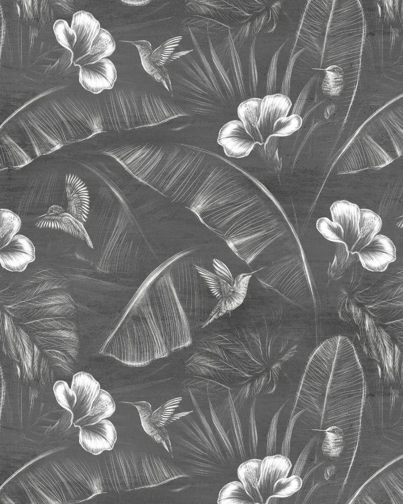 Tropics Hummingbirds Black & White Wallpaper from Olive et Oriel where you can shop wallpaper and artworks online