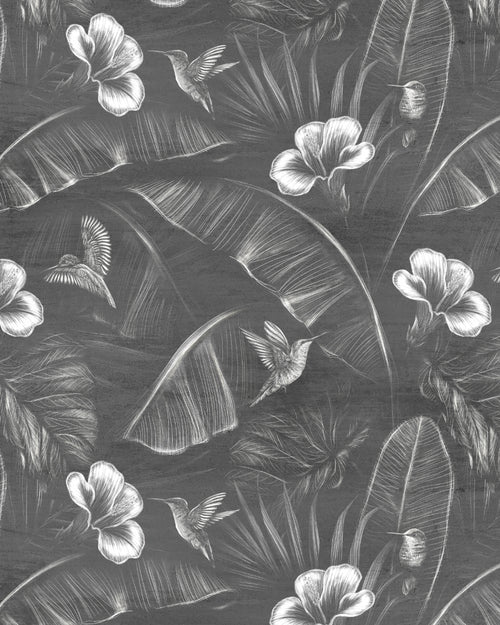 Tropics Hummingbirds Black & White Wallpaper