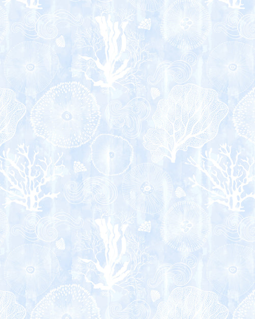 Coastal Coral in Ice Blue Wallpaper
