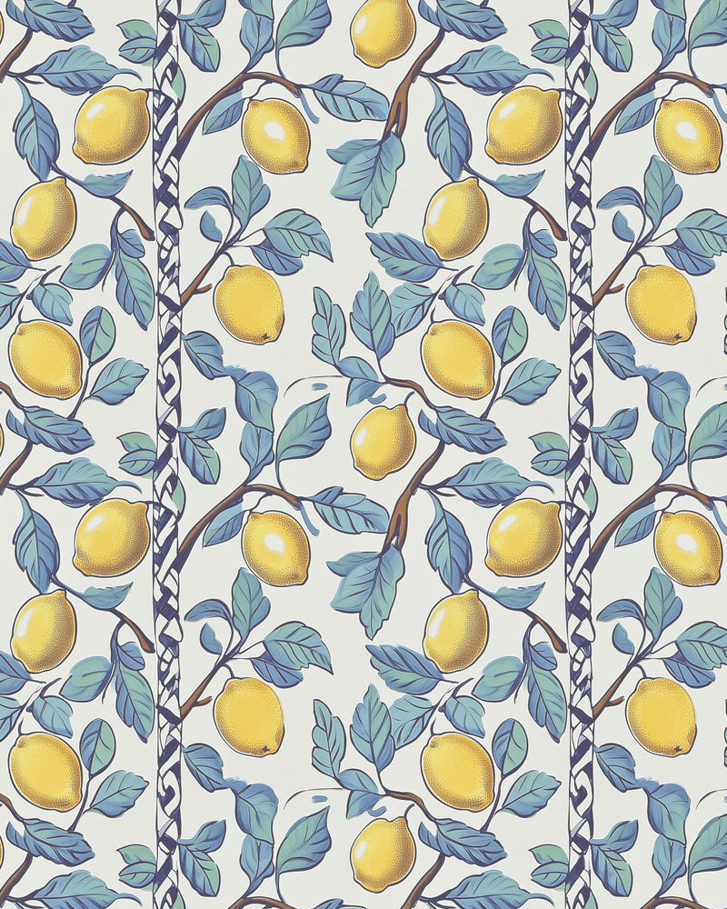 Amalfi Limone Wallpaper from Olive et Oriel where you can shop wallpaper and artworks online