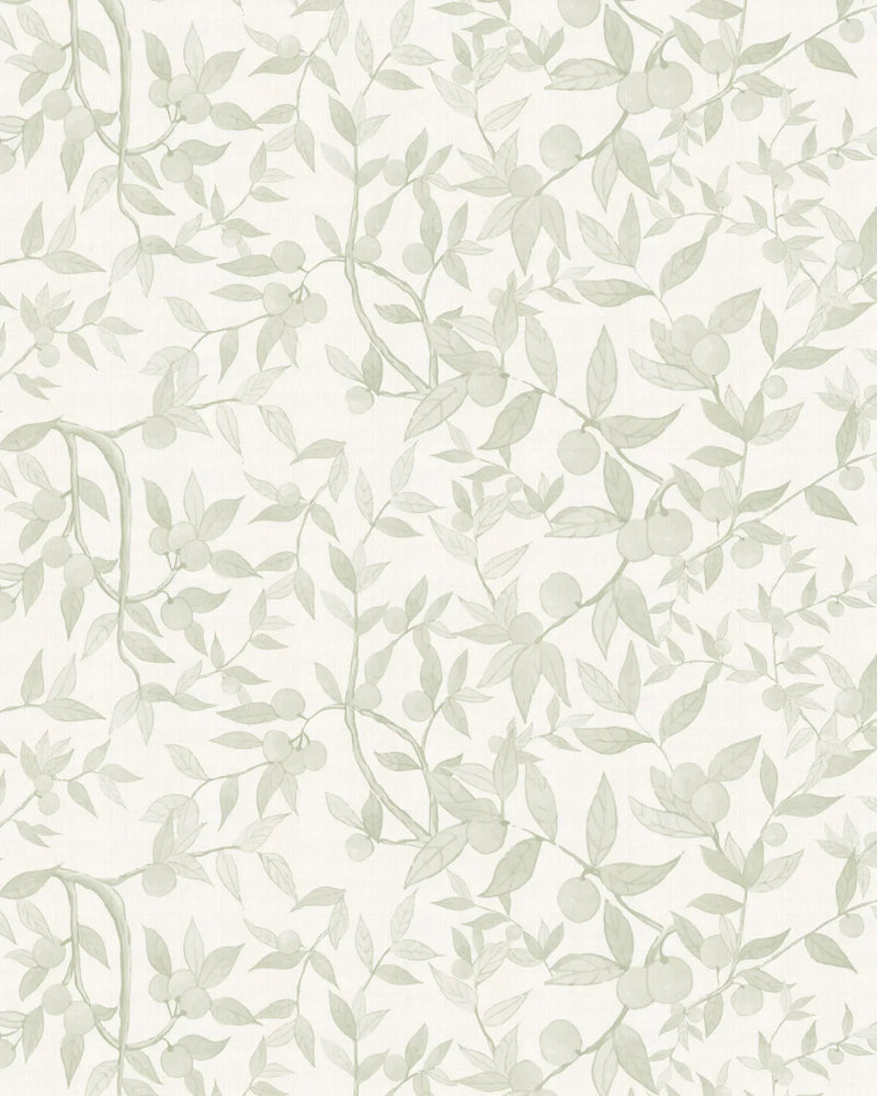 Citrus Tree Luxe in Sage Green Wallpaper from Olive et Oriel where you can shop wallpaper and artworks online
