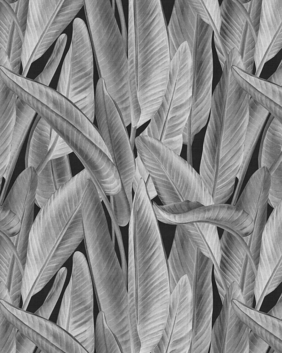 Gold Coast Palm Black & White Wallpaper from Olive et Oriel where you can shop wallpaper and artworks online