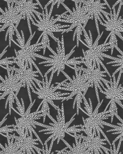 Dotted Palms Black & White Wallpaper