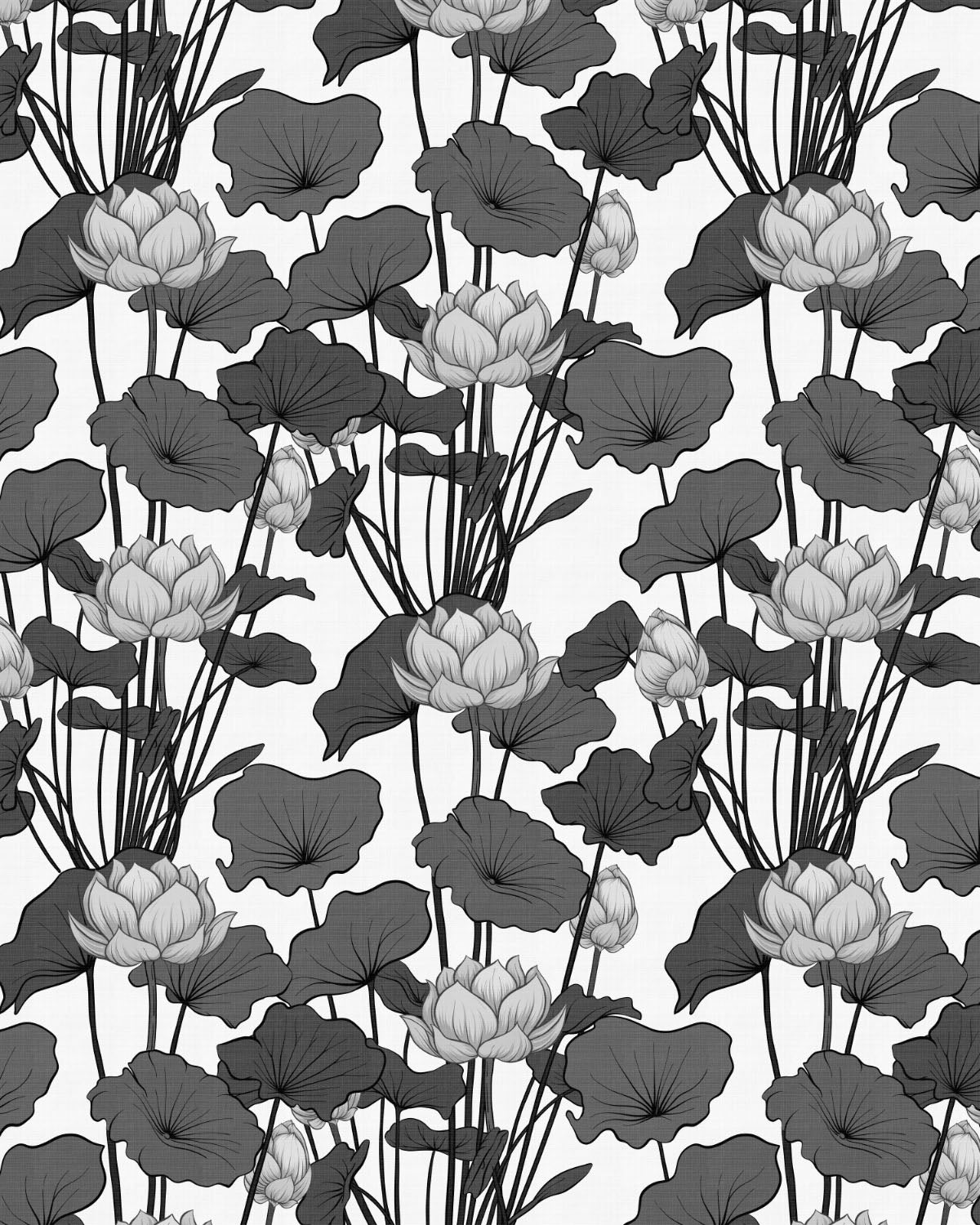 Lily Pad Black & White Wallpaper