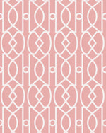 Trellis Luxe in Peach Pink Wallpaper