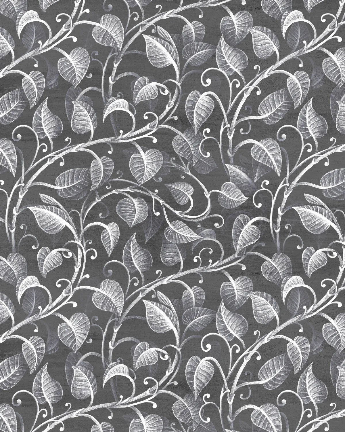 Up the Vine Black & White Wallpaper from Olive et Oriel where you can shop wallpaper and artworks online