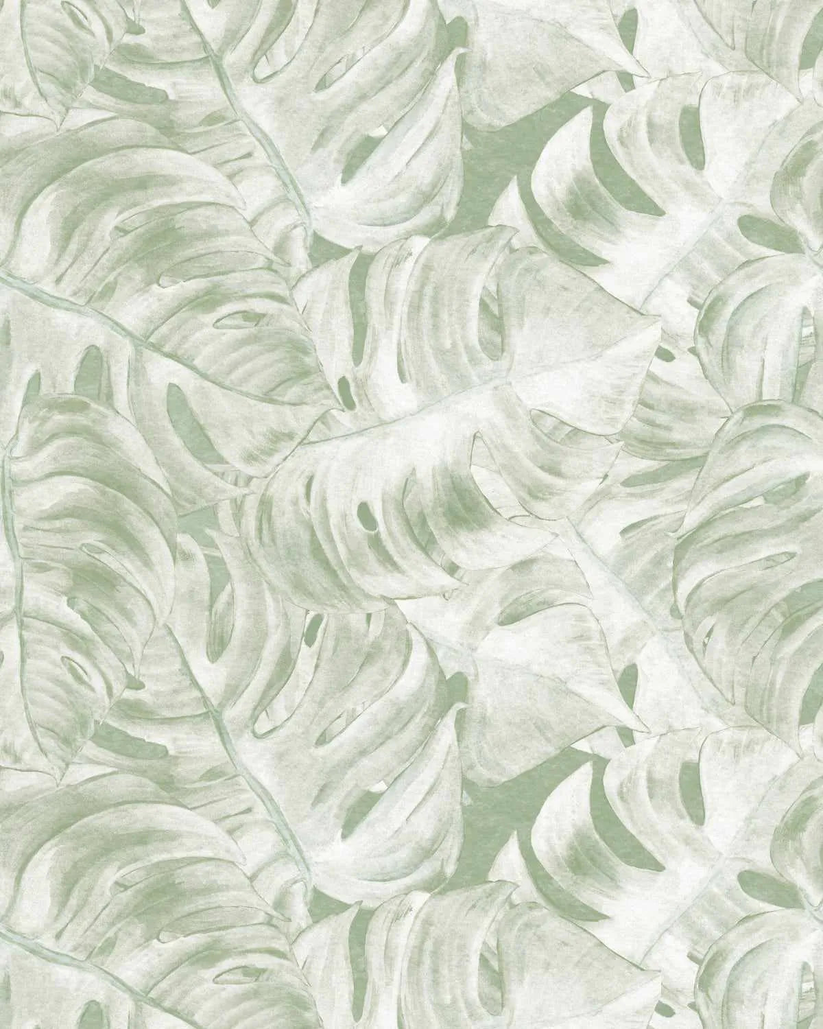 Hamptons Monstera Sage Green Wallpaper from Olive et Oriel where you can shop wallpaper and artworks online