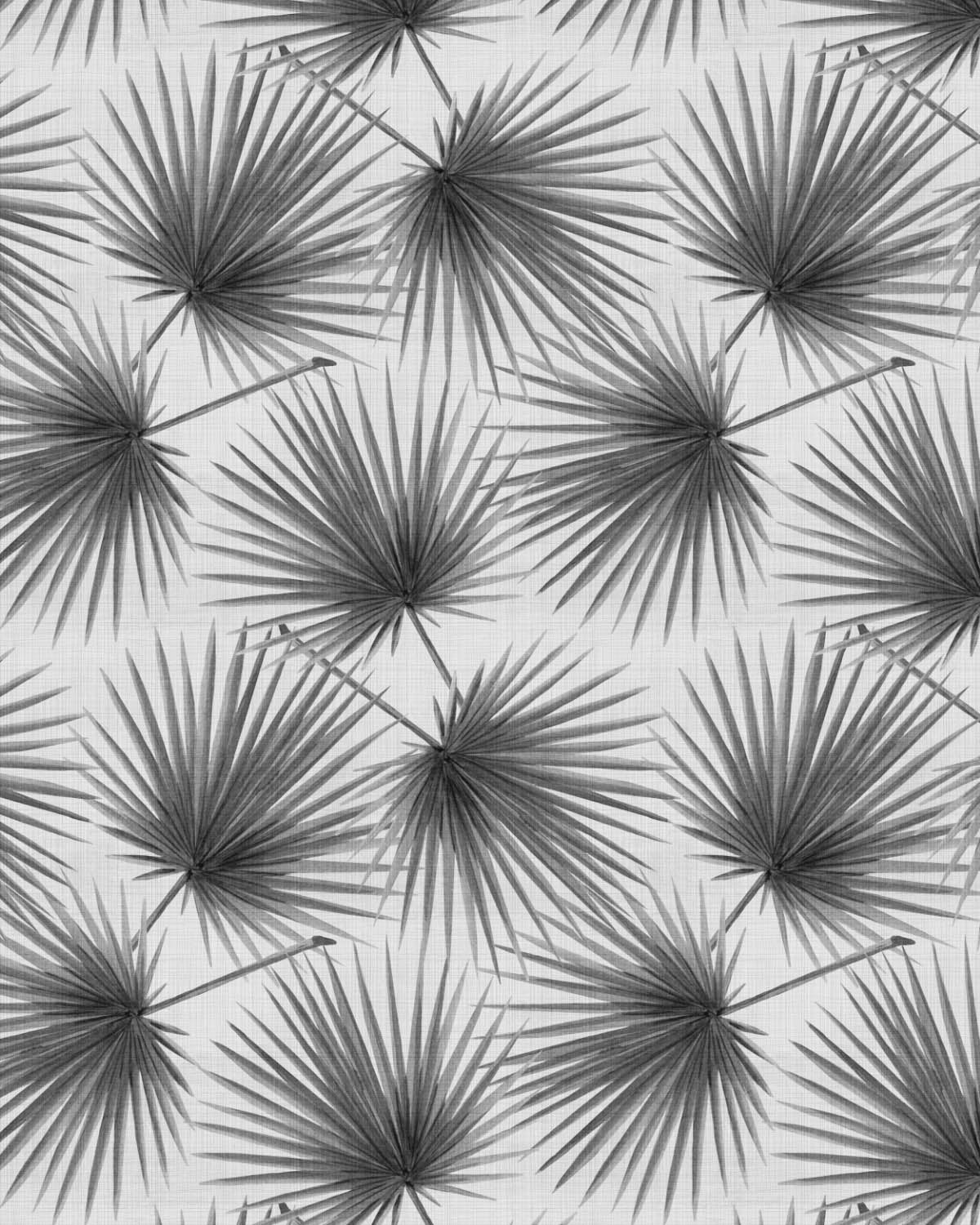 Fan Palm Escape Black & White Wallpaper