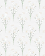 Soft Daisy Drop Wallpaper