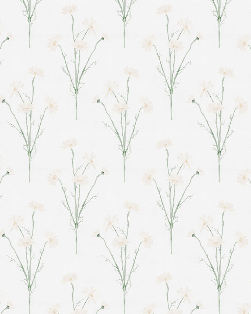 Soft Daisy Drop Wallpaper