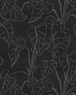 Line Art Palm Black & White Wallpaper
