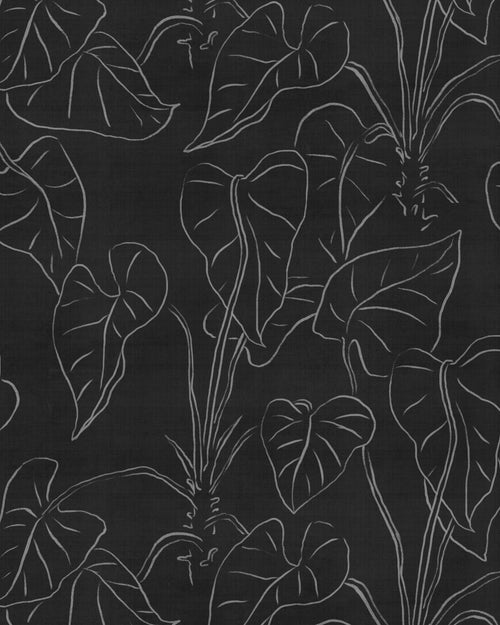Line Art Palm Black & White Wallpaper