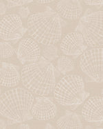 Seashells in Sand Wallpaper