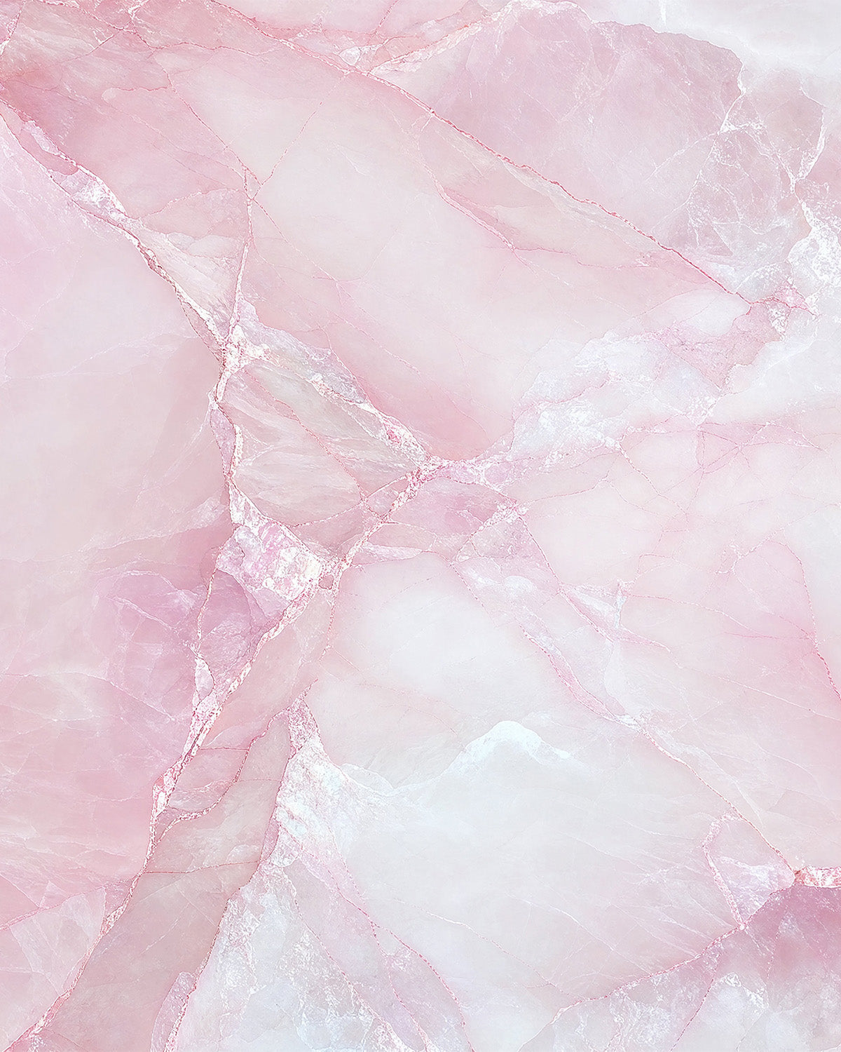 Ballet Pink Marble Mural Wallpaper