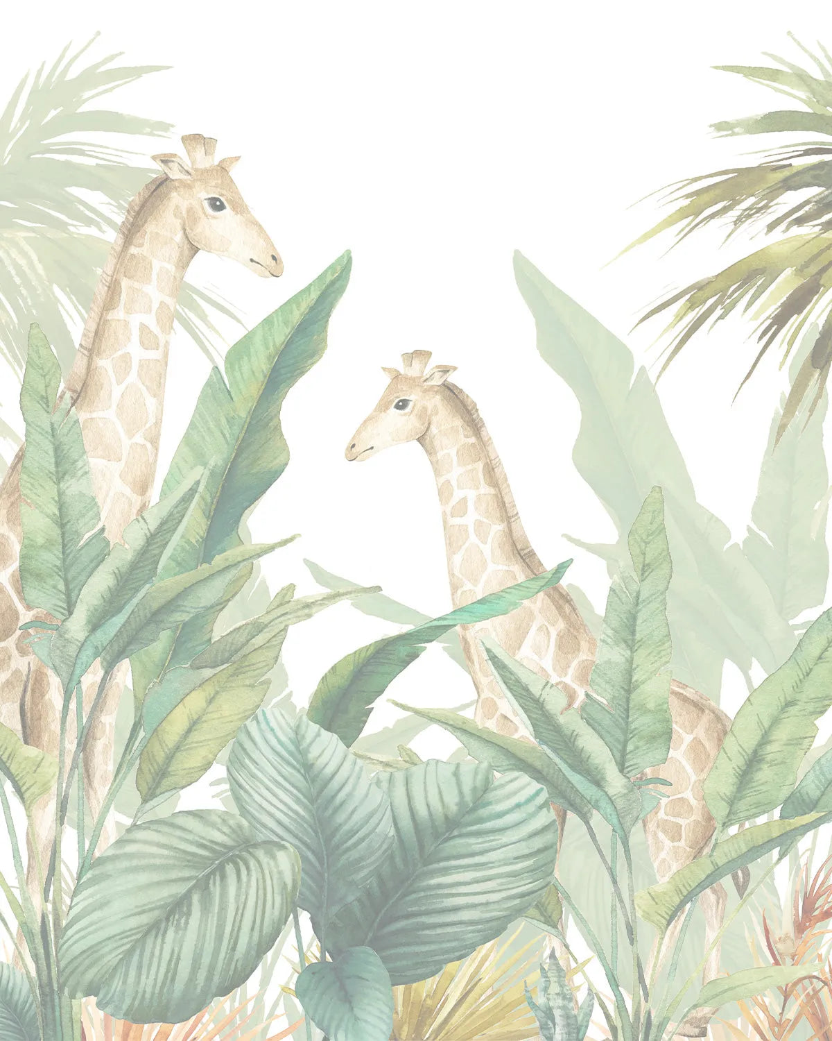 Jungle Giraffes Wallpaper Mural from Olive et Oriel where you can shop wallpaper and artworks online