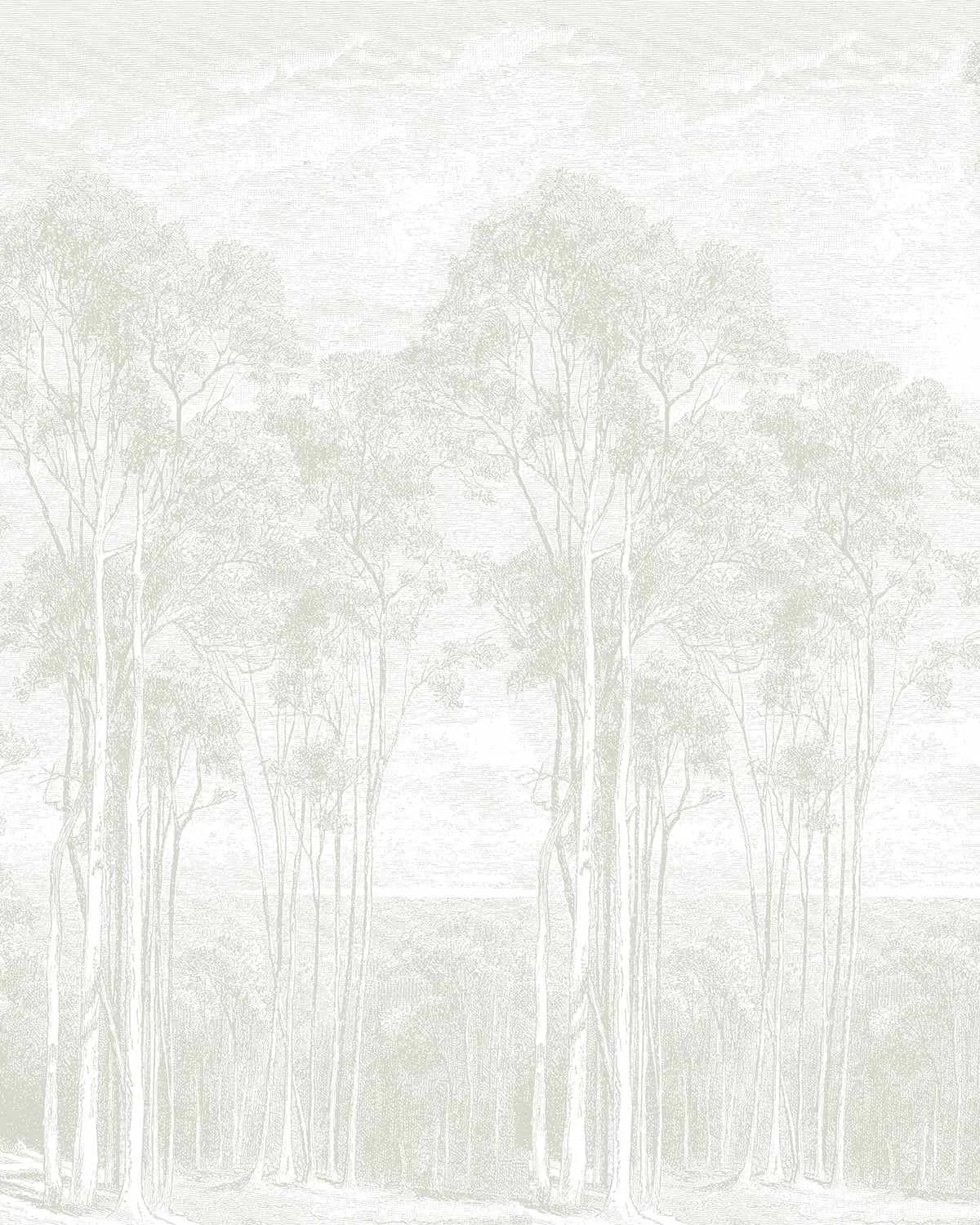 Eucalyptus Trees Soft Sage Green Wallpaper from Olive et Oriel where you can shop wallpaper and artworks online