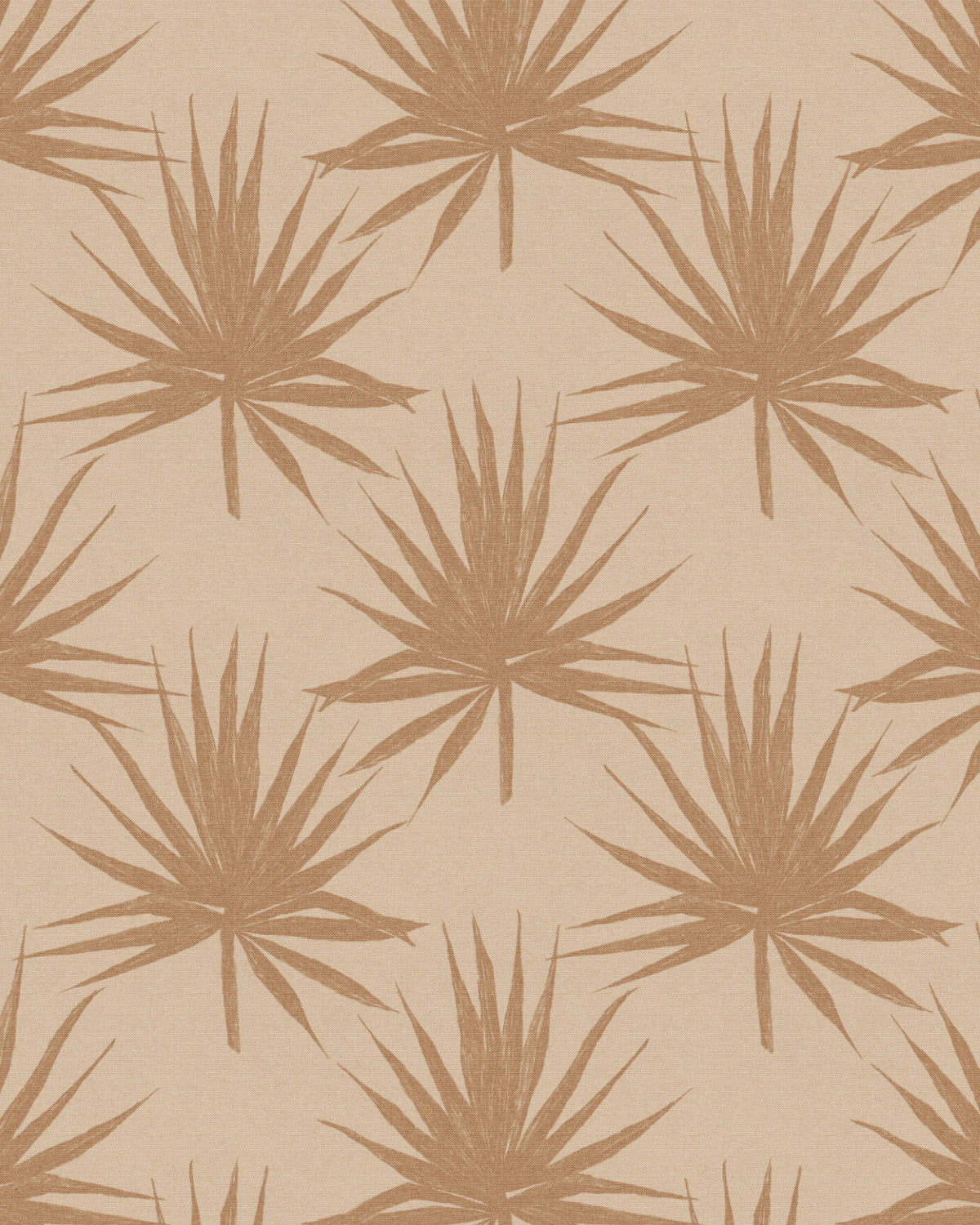 Fan Palms In Coco Wallpaper