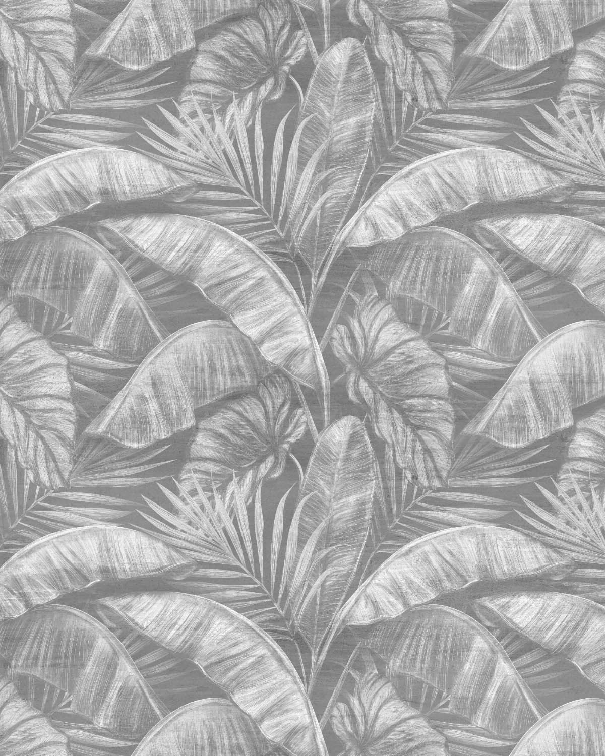 Tropics Black & White Wallpaper