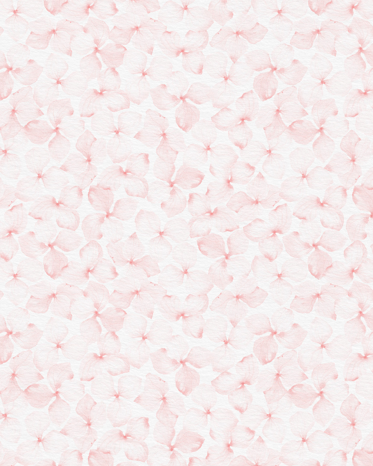 Fallen Flowers in Soft Pink Wallpaper