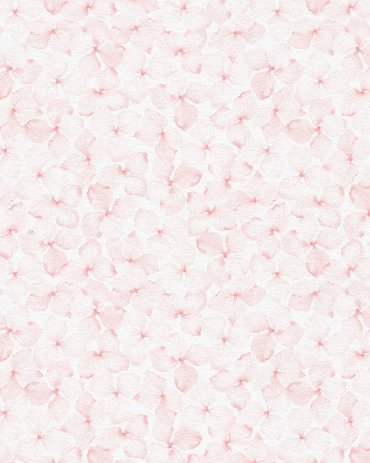 Fallen Flowers in Soft Pink Wallpaper from Olive et Oriel where you can shop wallpaper and artworks online