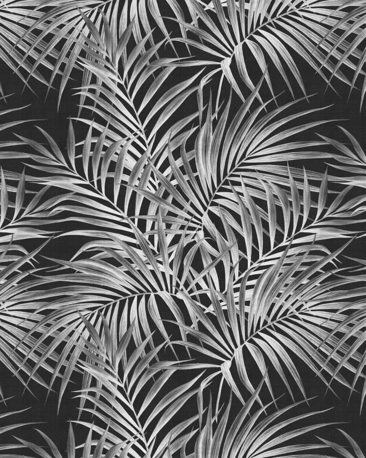 Alfresco Palm Black & White Wallpaper from Olive et Oriel where you can shop wallpaper and artworks online