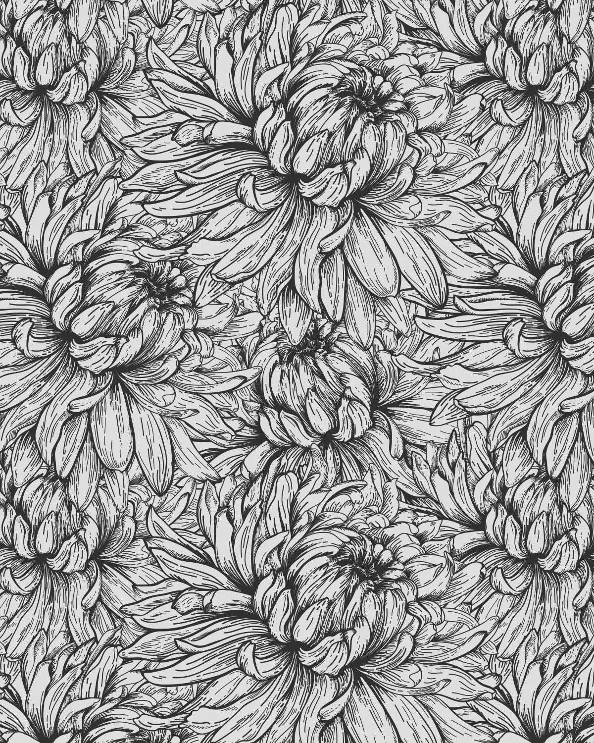 Chrysanthemum Flower Black & White Wallpaper from Olive et Oriel where you can shop wallpaper and artworks online