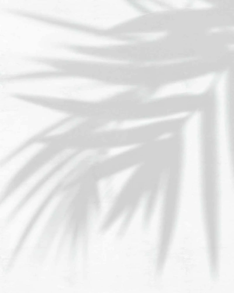 Afternoons in Palm Beach Wallpaper from Olive et Oriel where you can shop wallpaper and artworks online