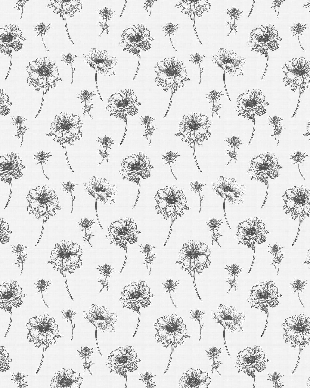 Wild Flowers Black & White Wallpaper