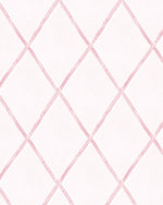 Bamboo Lattice in Soft Pink Wallpaper