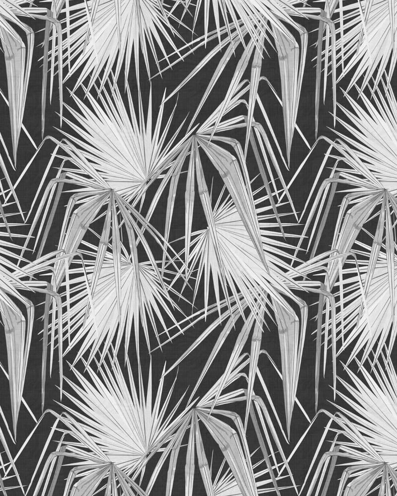 Paradiso Palm White on Black Wallpaper