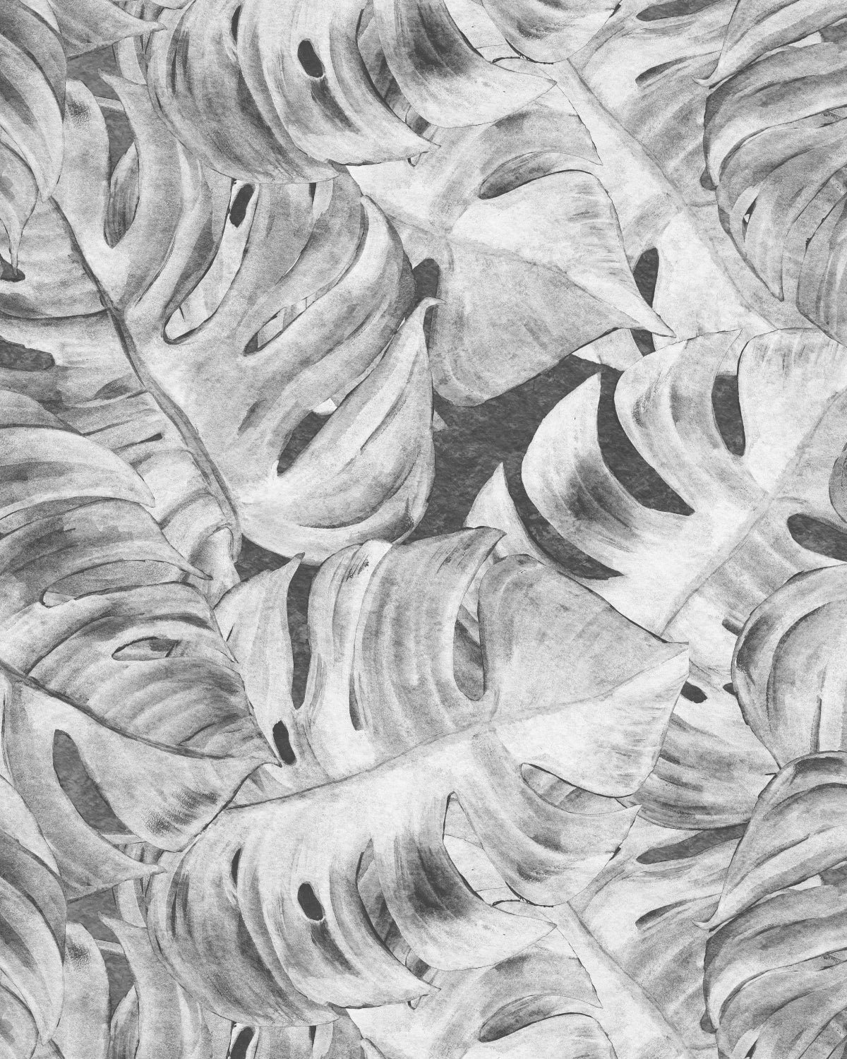 Hamptons Monstera Black & White Wallpaper