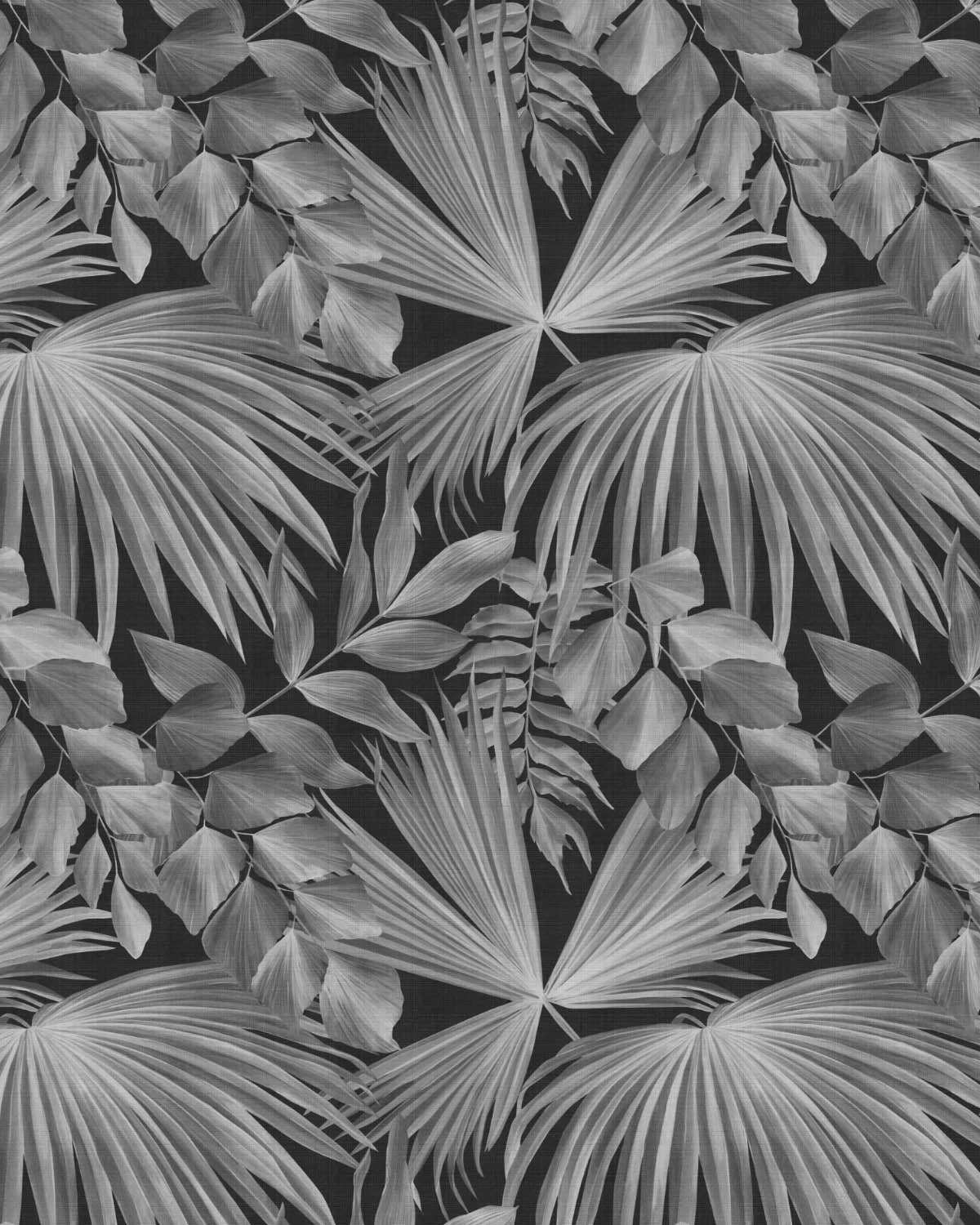 Barbados Fan Palm Black & White Wallpaper