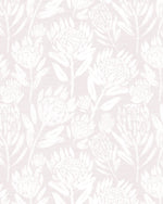Protea in Bloom in Soft Pink Wallpaper