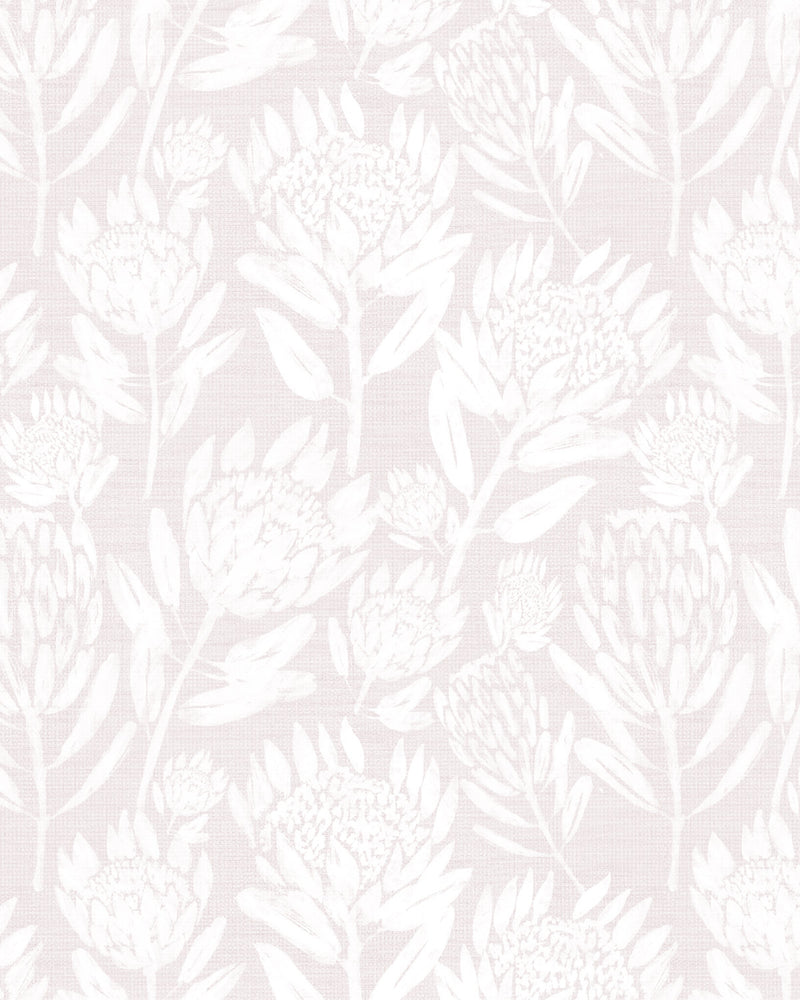 Protea in Bloom in Soft Pink Wallpaper