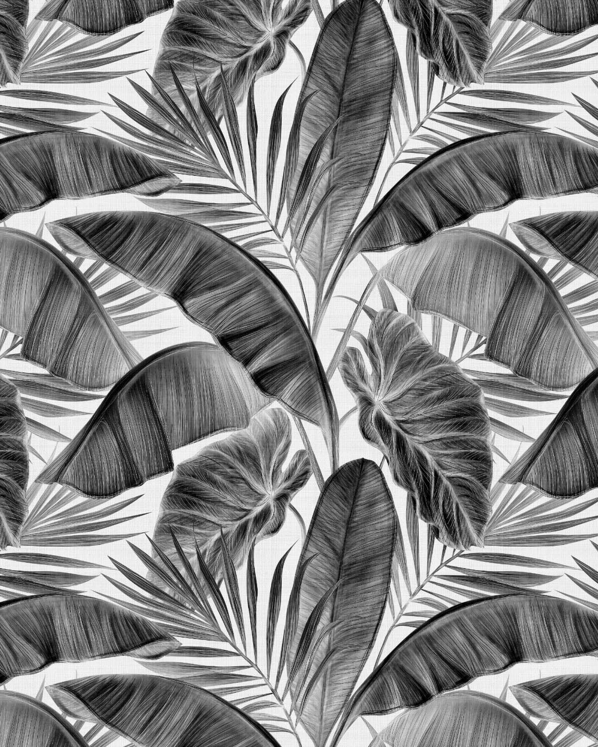 Escape To the Tropics Black & White Wallpaper