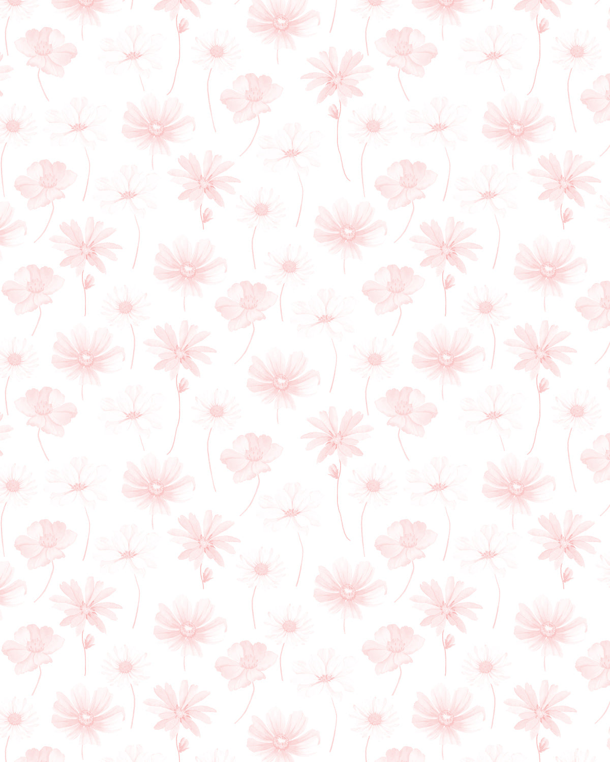 Pink Daisies Wallpaper