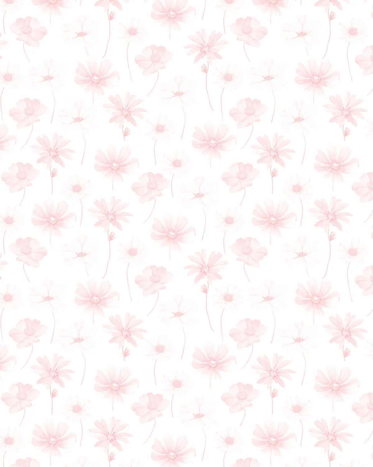 Pink Daisies Wallpaper from Olive et Oriel where you can shop wallpaper and artworks online