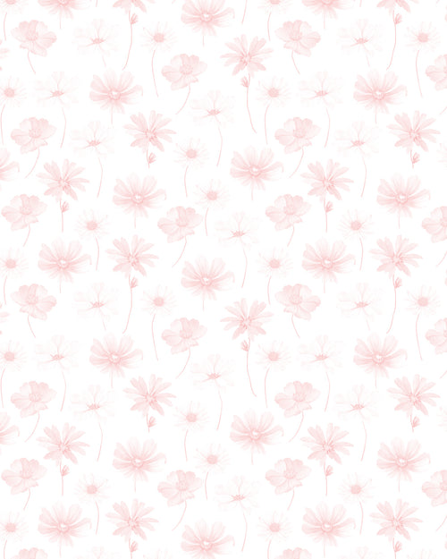 Pink Daisies Wallpaper