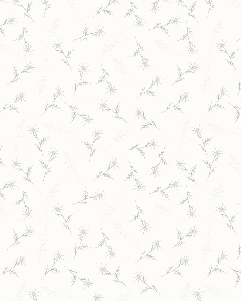 Wild Stems in Soft Grey Wallpaper from Olive et Oriel where you can shop wallpaper and artworks online