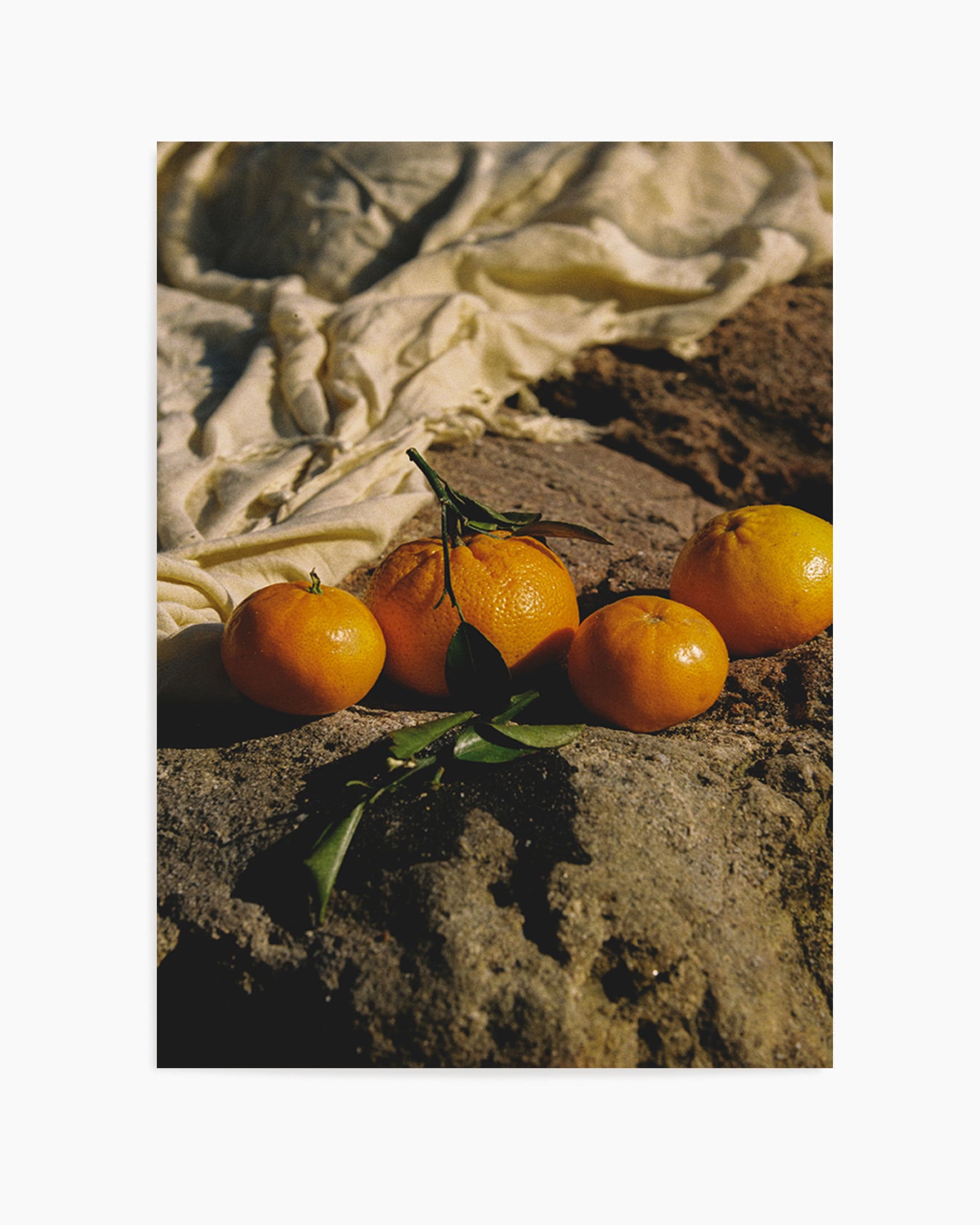 Citrus Sun by Carson Grzegorczyk | Art Print