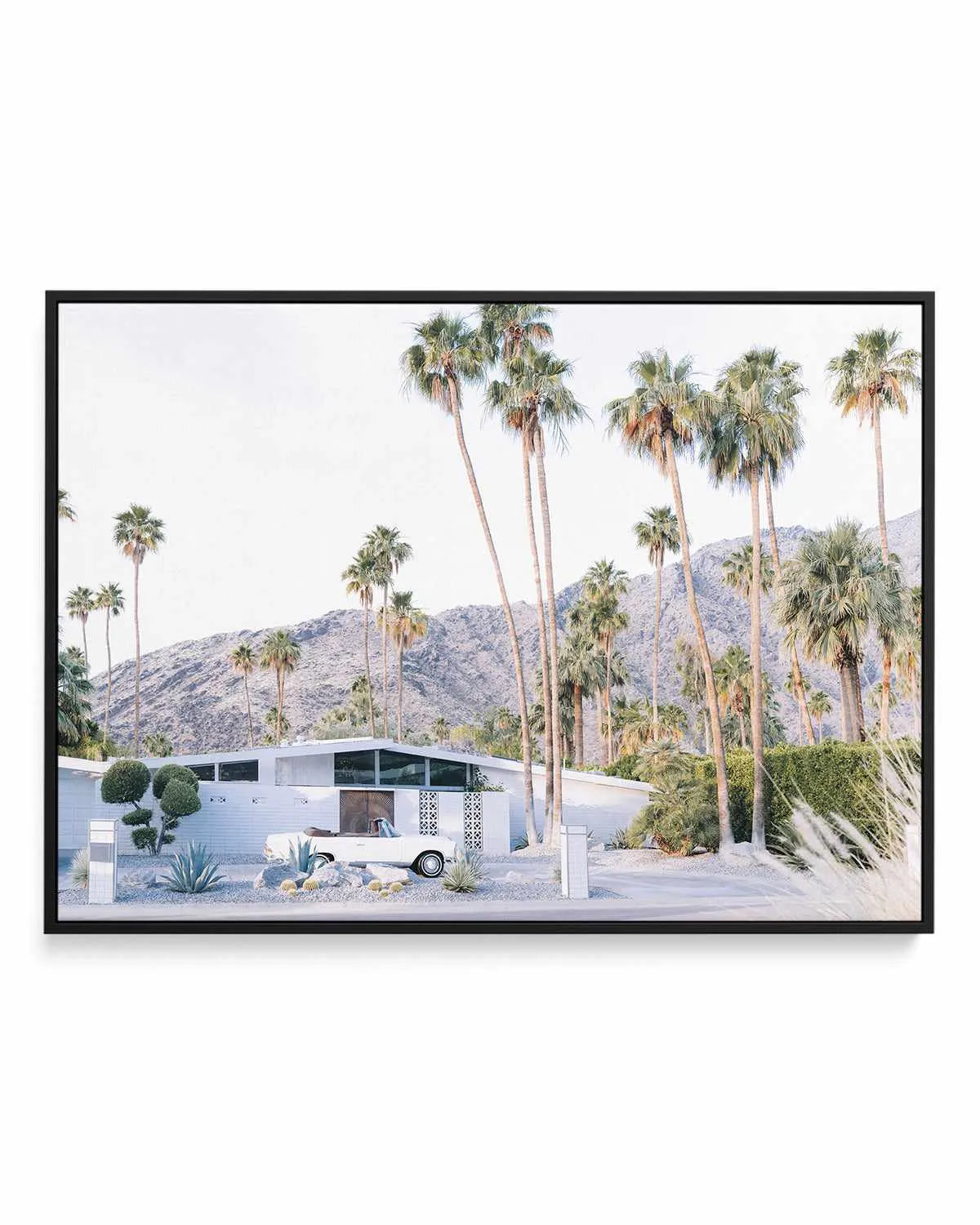 73 Palm Springs | Framed Canvas Art Print from Olive et Oriel where you can shop wallpaper and artworks online