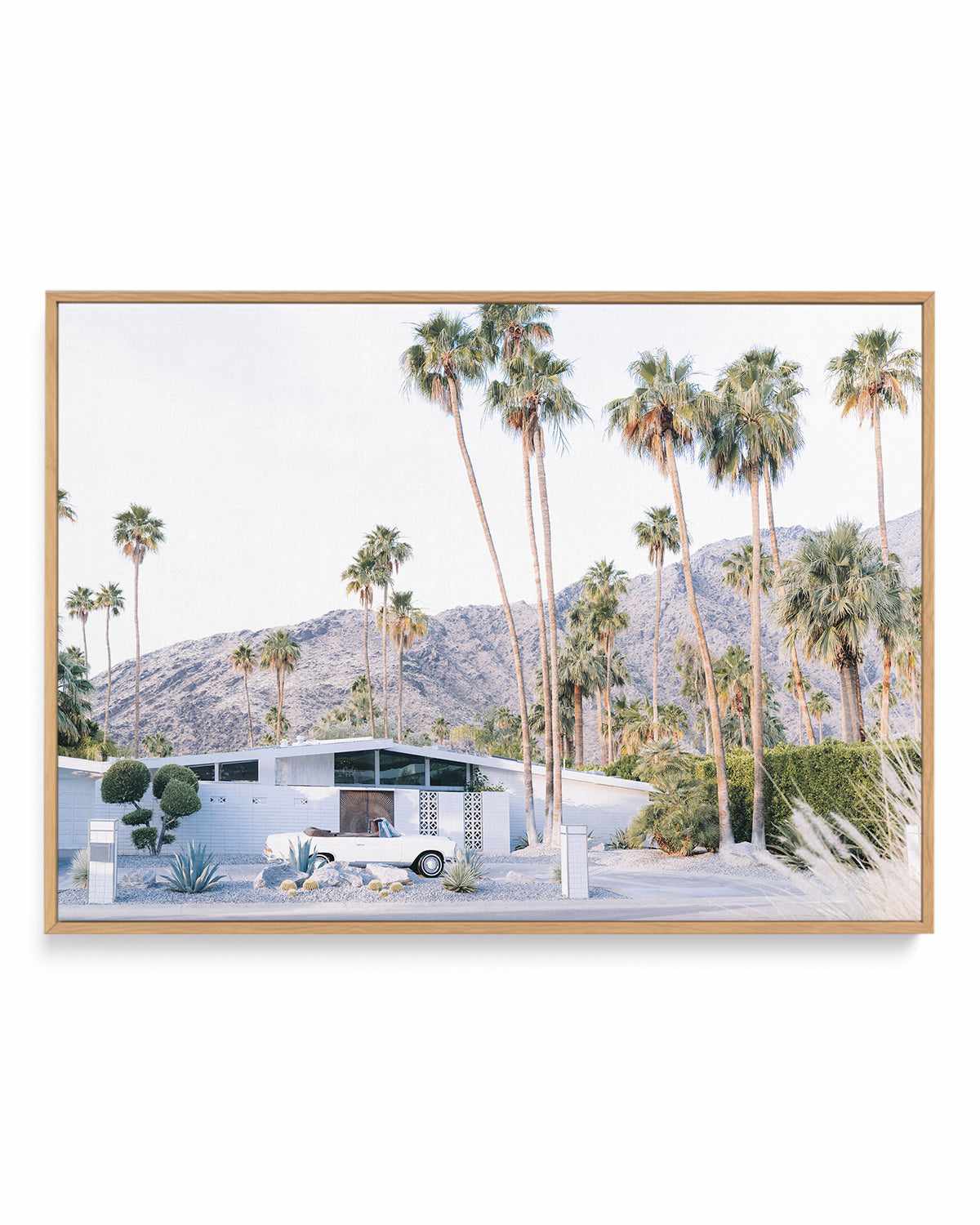 73 Palm Springs | Framed Canvas Art Print