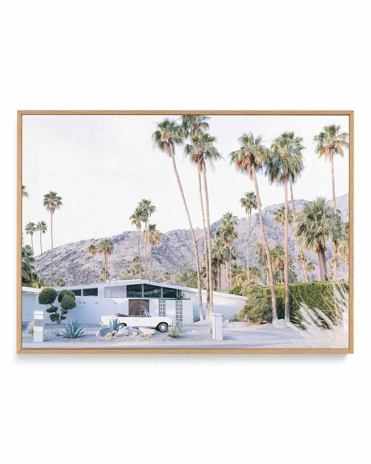 73 Palm Springs | Framed Canvas Art Print from Olive et Oriel where you can shop wallpaper and artworks online