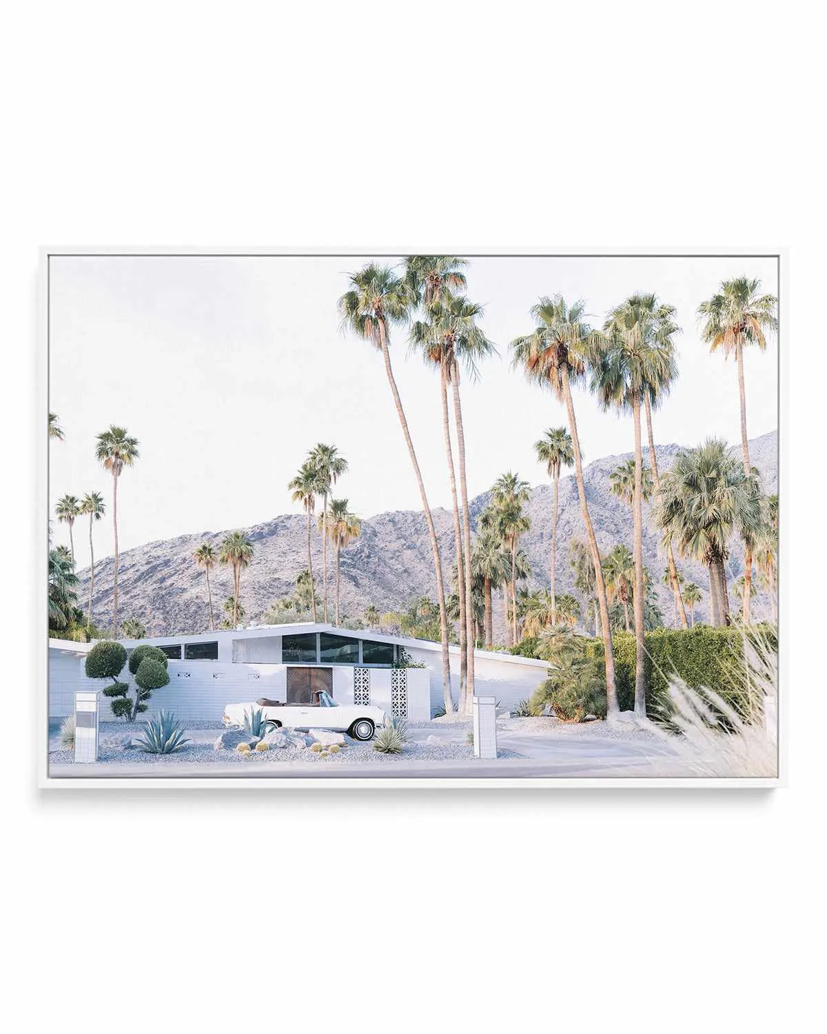 73 Palm Springs | Framed Canvas Art Print from Olive et Oriel where you can shop wallpaper and artworks online
