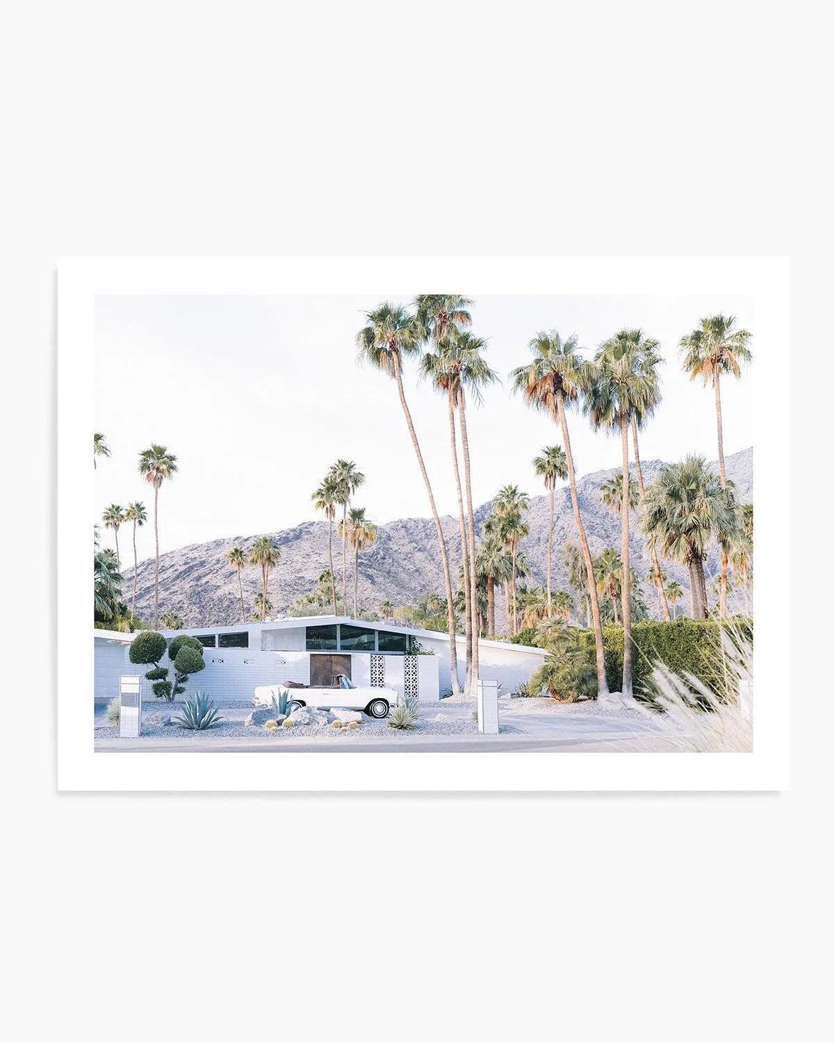 73 Palm Springs Art Print from Olive et Oriel where you can shop wallpaper and artworks online